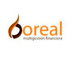 Logo Boreal Multigestión